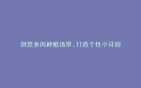 创意多肉种植场景,打造个性小花园