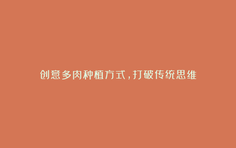 创意多肉种植方式,打破传统思维