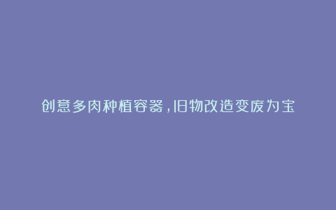 创意多肉种植容器,旧物改造变废为宝