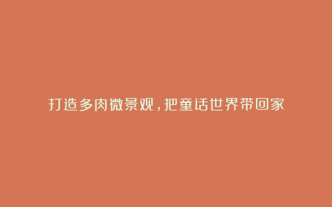 打造多肉微景观,把童话世界带回家