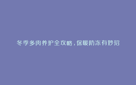冬季多肉养护全攻略,保暖防冻有妙招