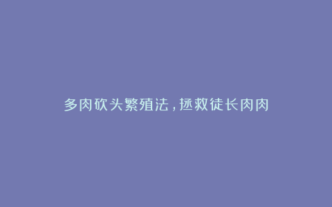多肉砍头繁殖法,拯救徒长肉肉