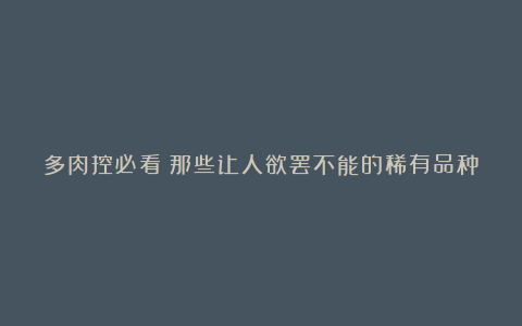 多肉控必看!那些让人欲罢不能的稀有品种