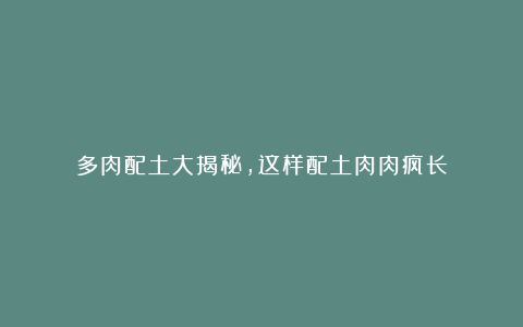 多肉配土大揭秘,这样配土肉肉疯长