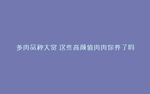 多肉品种大赏:这些高颜值肉肉你养了吗
