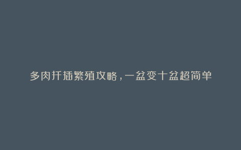 多肉扦插繁殖攻略,一盆变十盆超简单