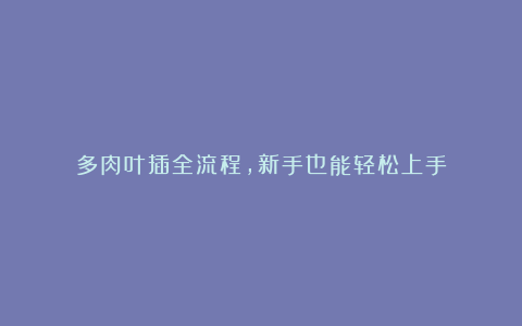 多肉叶插全流程,新手也能轻松上手