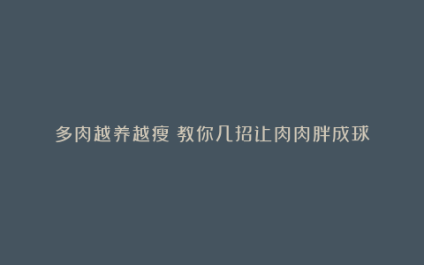 多肉越养越瘦?教你几招让肉肉胖成球