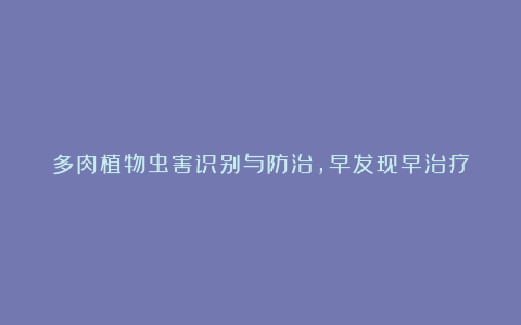 多肉植物虫害识别与防治,早发现早治疗