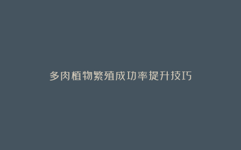多肉植物繁殖成功率提升技巧