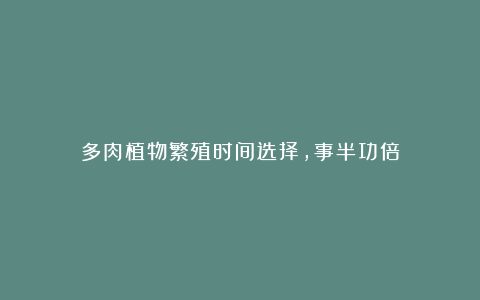 多肉植物繁殖时间选择,事半功倍