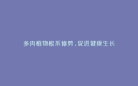 多肉植物根系修剪,促进健康生长
