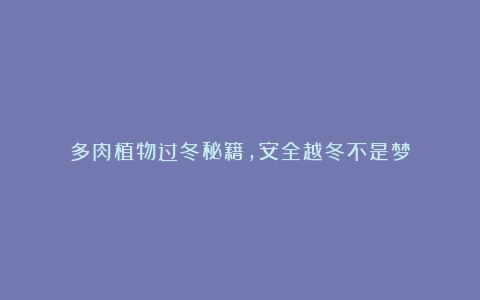 多肉植物过冬秘籍,安全越冬不是梦
