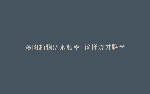 多肉植物浇水频率,这样浇才科学