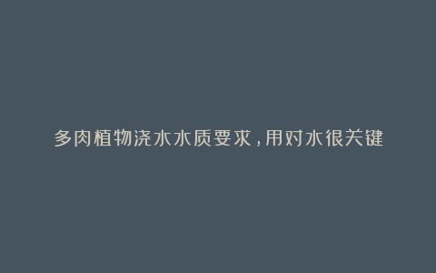 多肉植物浇水水质要求,用对水很关键