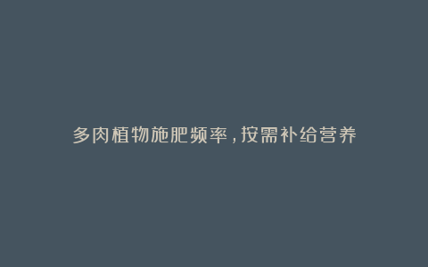 多肉植物施肥频率,按需补给营养
