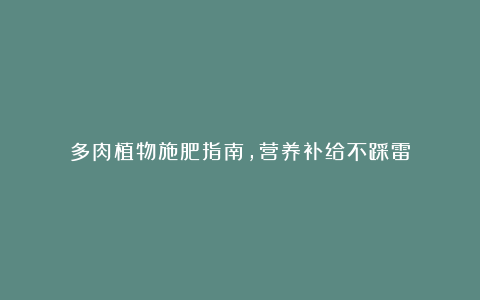 多肉植物施肥指南,营养补给不踩雷