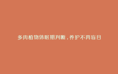 多肉植物休眠期判断,养护不再盲目