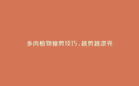 多肉植物修剪技巧,越剪越漂亮