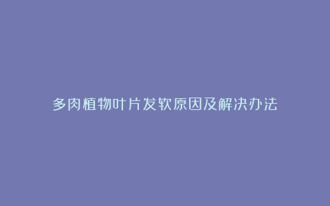 多肉植物叶片发软原因及解决办法