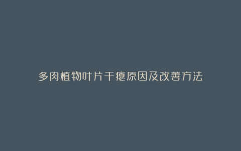 多肉植物叶片干瘪原因及改善方法