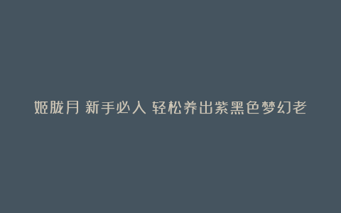 姬胧月:新手必入!轻松养出紫黑色梦幻老桩