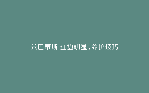 苯巴蒂斯:红边明显,养护技巧