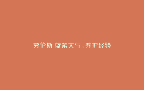 劳伦斯:蓝紫大气,养护经验