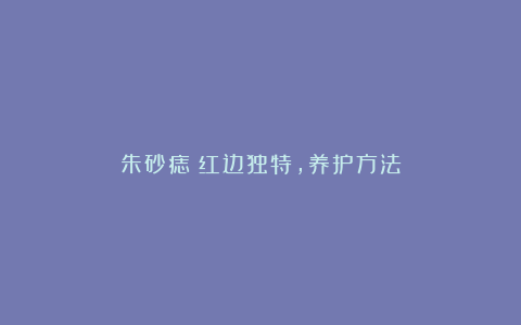 朱砂痣:红边独特,养护方法
