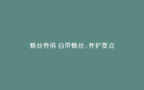 蛛丝卷绢:自带蛛丝,养护要点