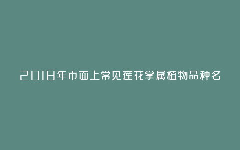 2018年市面上常见莲花掌属植物品种名称汇总表