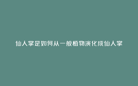 仙人掌是如何从一般植物演化成仙人掌