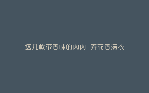这几款带香味的肉肉-弄花香满衣
