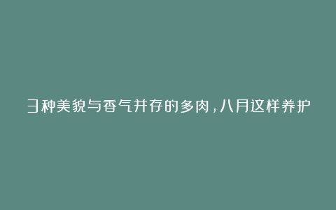 3种美貌与香气并存的多肉,八月这样养护,最快九月就会出状态