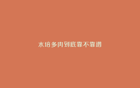 水培多肉到底靠不靠谱?
