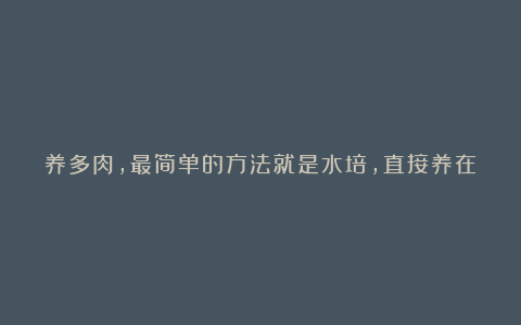 养多肉,最简单的方法就是水培,直接养在水里,万事无忧