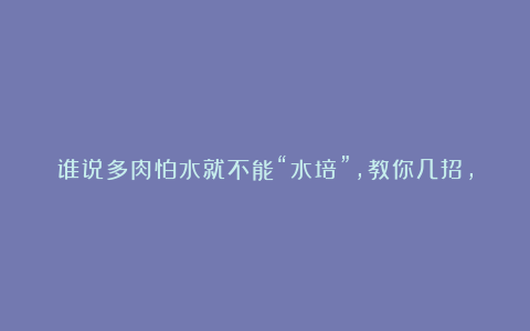 谁说多肉怕水就不能“水培”,教你几招,不用土都能养得旺