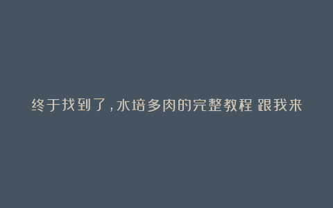 终于找到了,水培多肉的完整教程!跟我来!