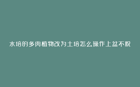 水培的多肉植物改为土培怎么操作上盆不脱水死苗?移栽时机重要