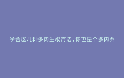 学会这几种多肉生根方法,你也是个多肉养殖高手!