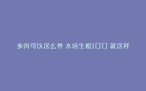 多肉可以这么养?水培生根100%就这样搞