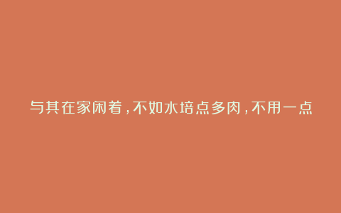 与其在家闲着,不如水培点多肉,不用一点土壤照样能生根发芽!