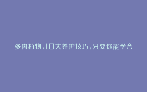多肉植物,10大养护技巧,只要你能学会,14天“绿叶变红叶”