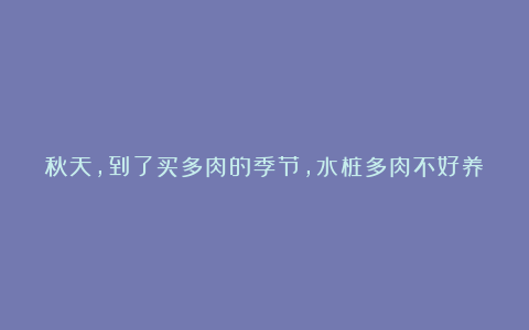 秋天,到了买多肉的季节,水桩多肉不好养,那买到水桩多肉该怎么养护呢!