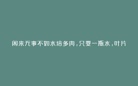 闲来无事不如水培多肉,只要一瓶水,叶片就能生根发芽