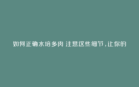 如何正确水培多肉?注意这些细节,让你的多肉更健康!