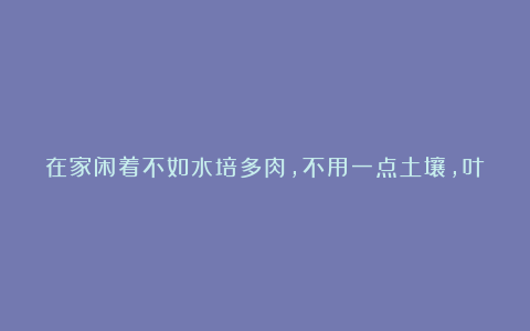 在家闲着不如水培多肉,不用一点土壤,叶片就能生根发芽