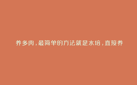 养多肉,最简单的方法就是水培,直接养在水里,万事无忧