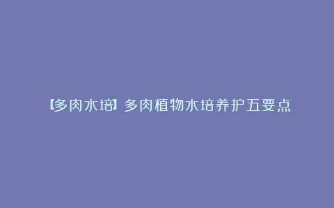 【多肉水培】多肉植物水培养护五要点