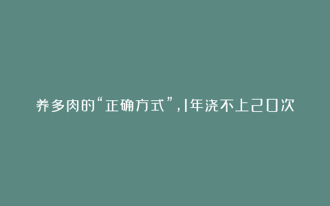 养多肉的“正确方式”,1年浇不上20次水,叶子干瘪了再浇水